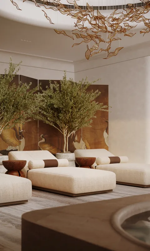 Daybeds and olive tree in a spa lounge